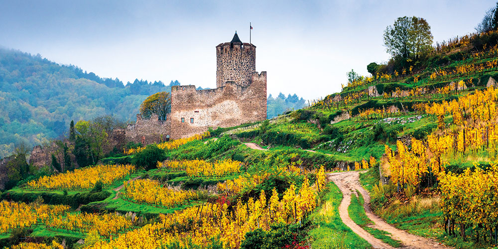 La-route-des-vins-d'Alsace-les-plus