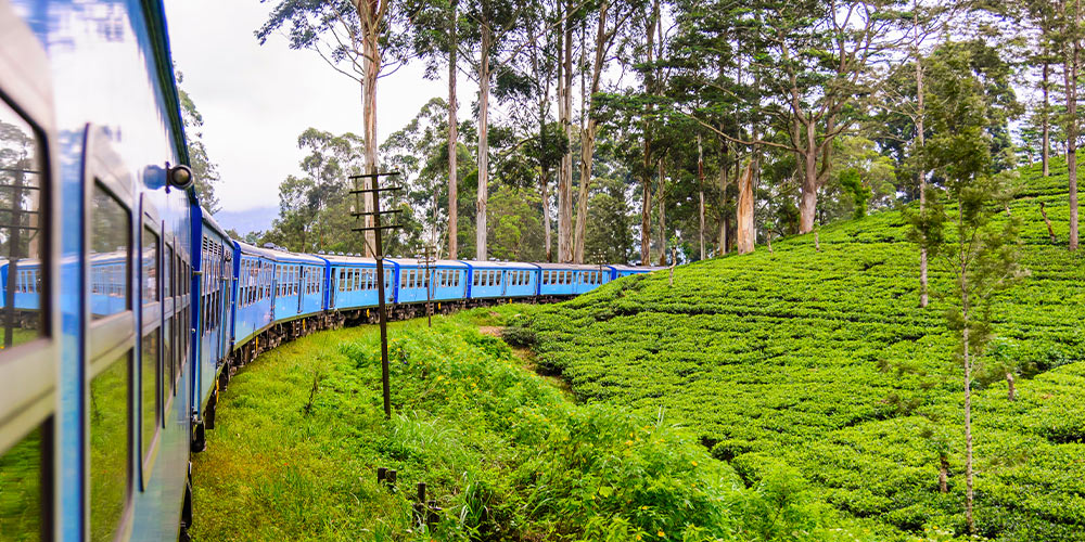 train-voyage-Sri-Lanka