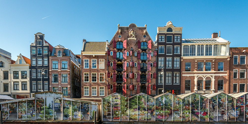 Amsterdam-fleur-voyage-Pays-Bas