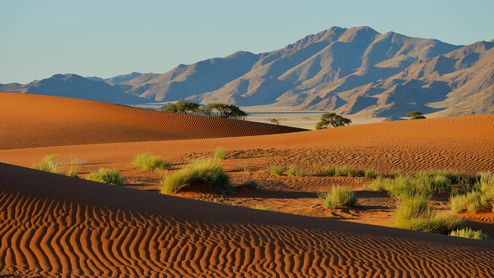 fond-destination-Namibie