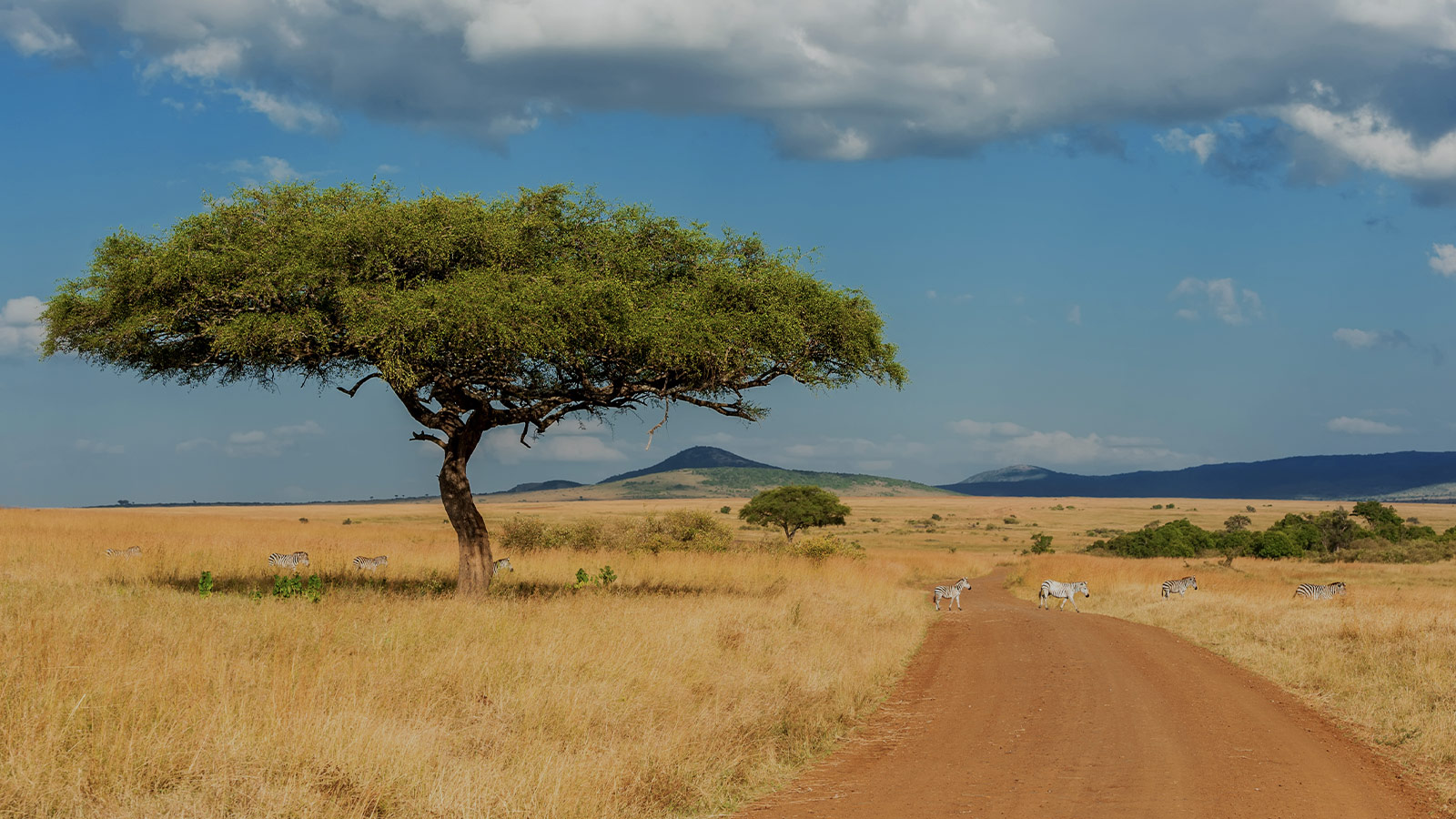 fond-destination-Kenya