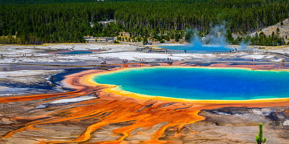 ouest sauvage yellowstone