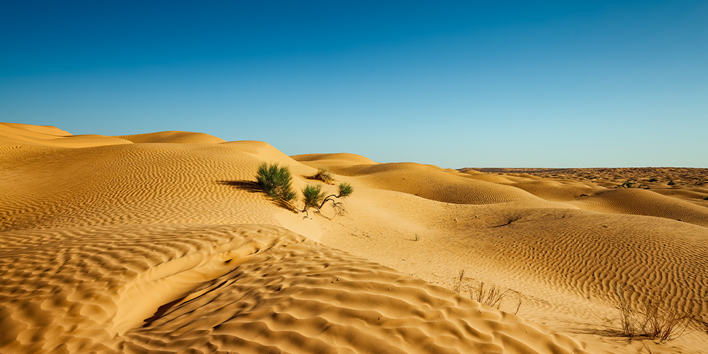 sejour-Tunisie-desert